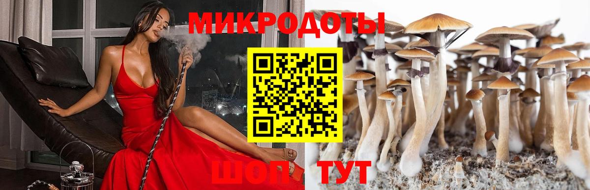 Фрязино  Галлюциногенные грибы ЛСД  наркотики  Вход с VPN 